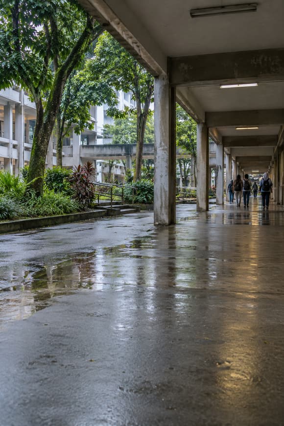 A covered campus walkway after rain, with tropical trees and students in the distance